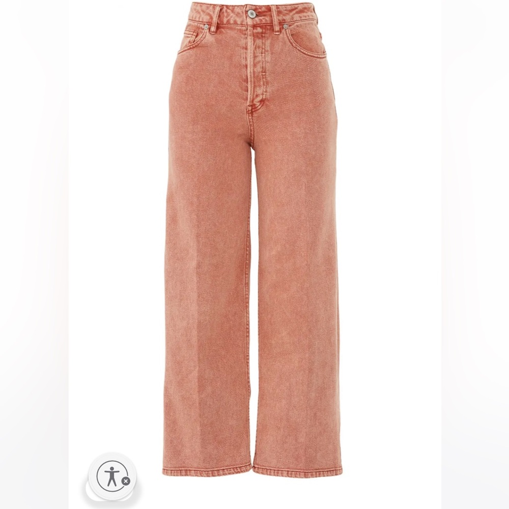 FREE PEOPLE Wales Wide Leg Jean in Terracotta